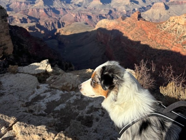 A trip to: Grand Canyon &&nbsp;Sedona