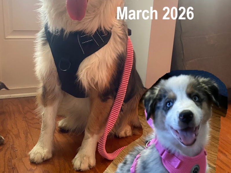 Progress Recap: Days 17 thru 30 (24&nbsp;miles)