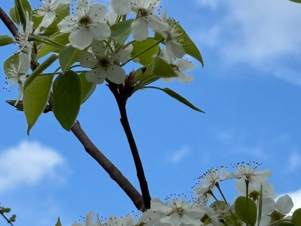 Progress Recap: Days 1 thru 16 (16&nbsp;miles)